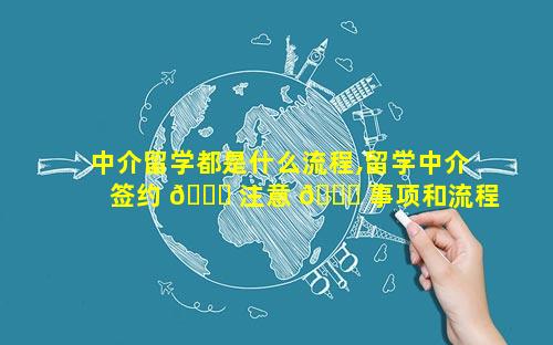 中介留学都是什么流程,留学中介签约 🐒 注意 🐟 事项和流程